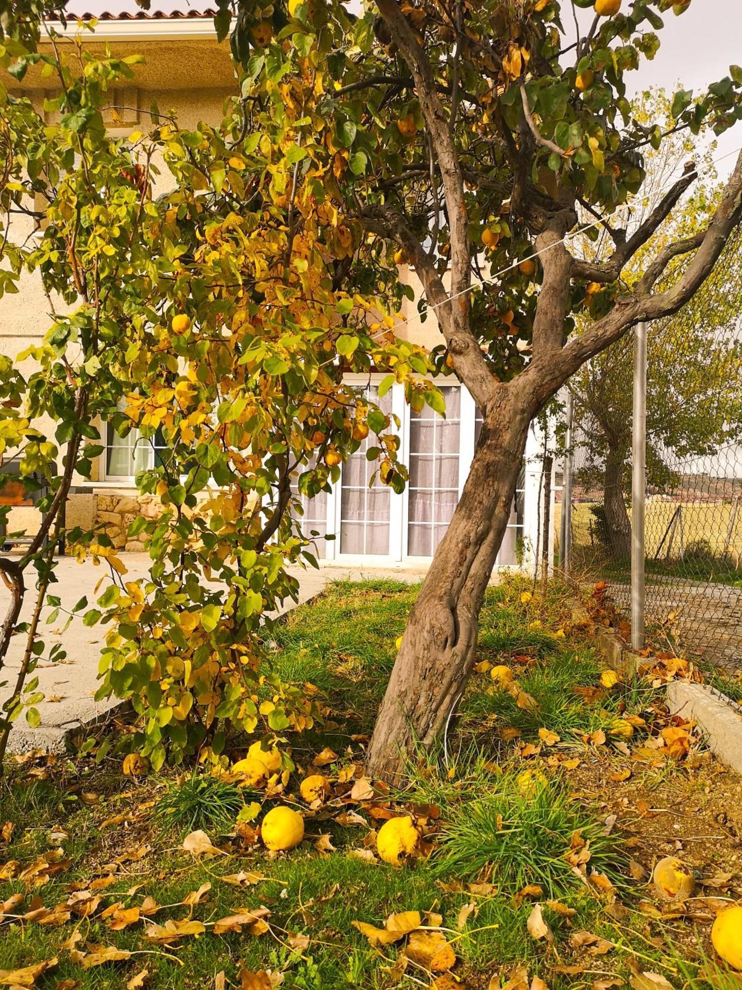 Agradable Casa Con Jardin: Casasola Villa San Cristobal de Segovia Exterior photo